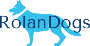 Logo 1